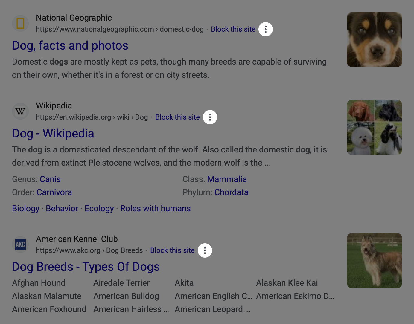 Three Google search result entries. The first result is for National Geographic and has a title of, 'Dog, facts and photos'. The second result is for Wikipedia, and has a title of, 'Dog - Wikipedia'. The third result is for American Kennel Club and has a title of 'Dog Breeds - Types Of Dogs'. Each result also lists the URL linked to under the title of the site. After each URL is also a link to block the site, and then an icon that consists of three vertically-stacked dots. A filter of 50% transparent black has been applied to the entire image, with a cutout circle centered around the each of the icons, to draw the reader's attention to them. Cropped screenshot.